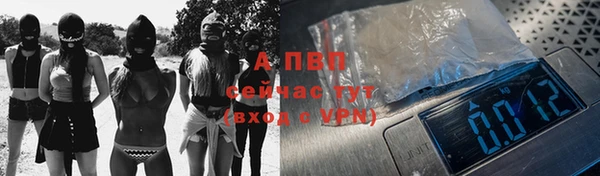 стаф Белокуриха