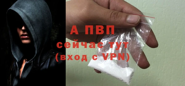 стаф Белокуриха