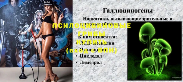стаф Белокуриха