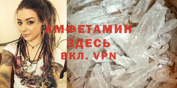 стаф Белокуриха