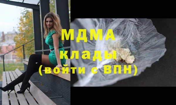 гидра Богородицк