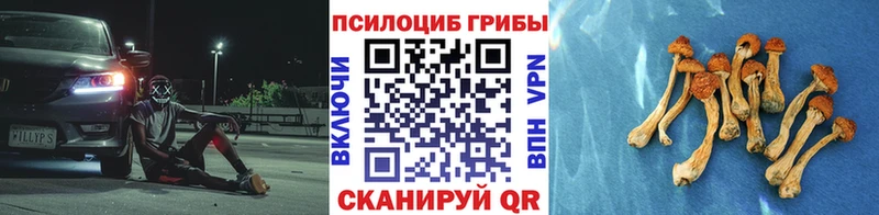 магазин    Вятские Поляны  мега сайт  Галлюциногенные грибы ЛСД 
