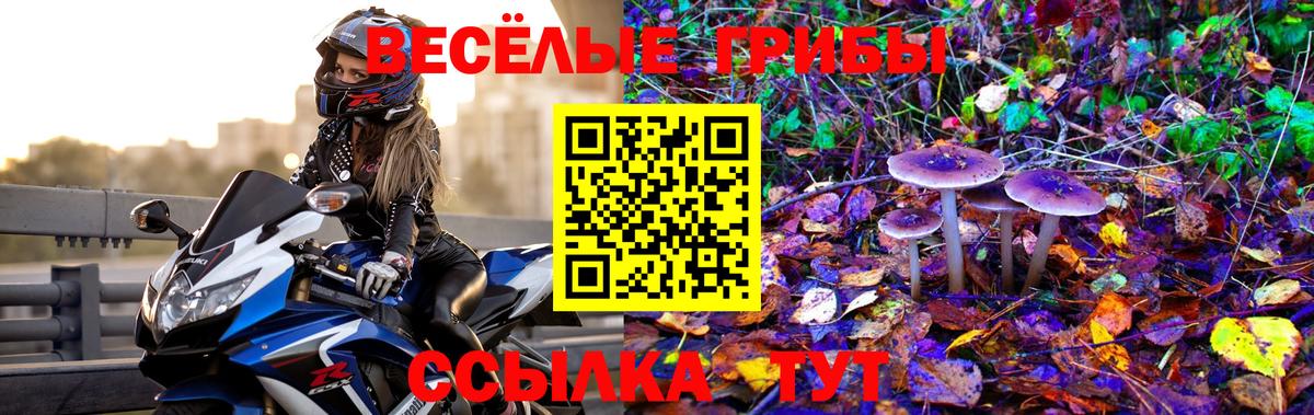 Псилоцибиновые грибы прущие грибы  Вход с VPN  Вятские Поляны 