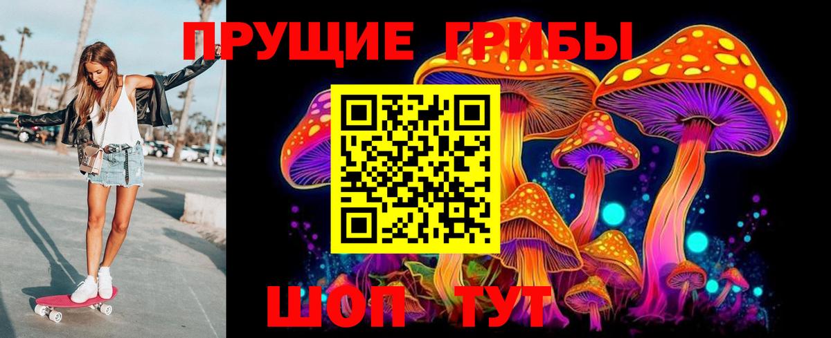 Галлюциногенные грибы Psilocybine cubensis  Вятские Поляны 
